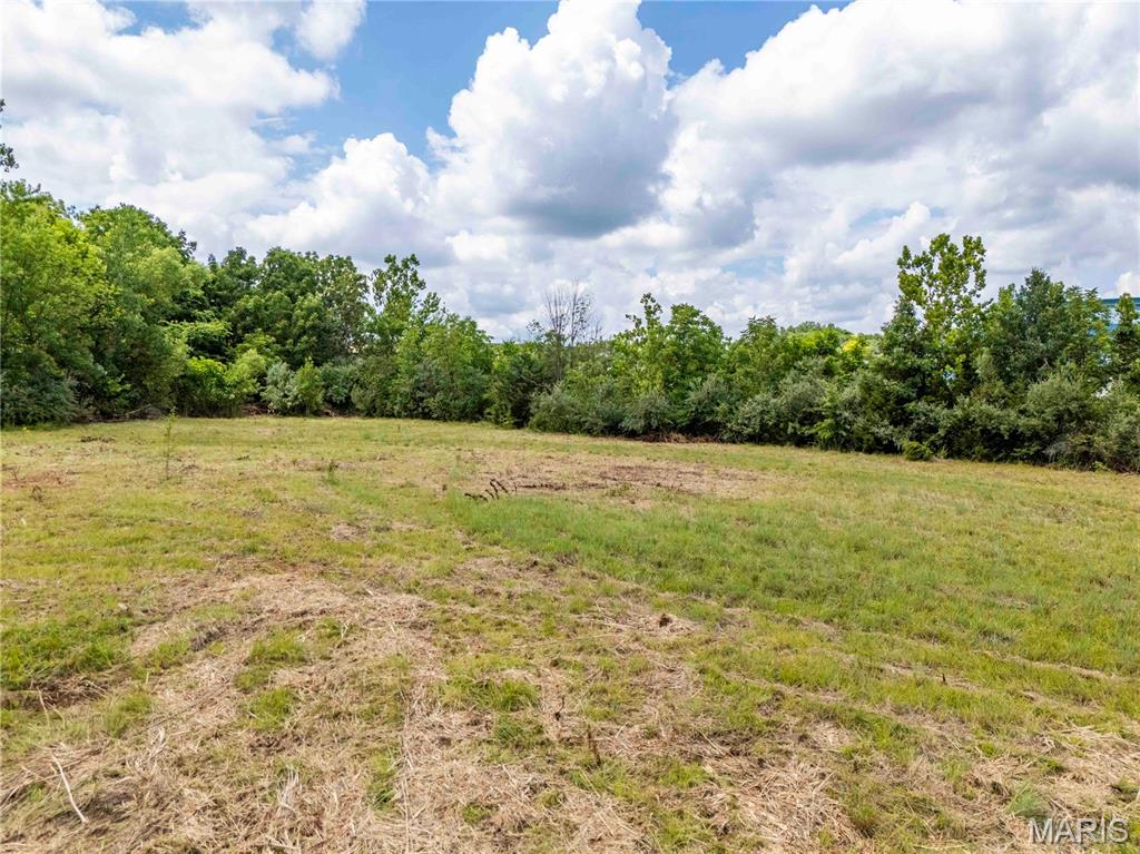 3500 Homer M Adams Parkway Property Photo 7