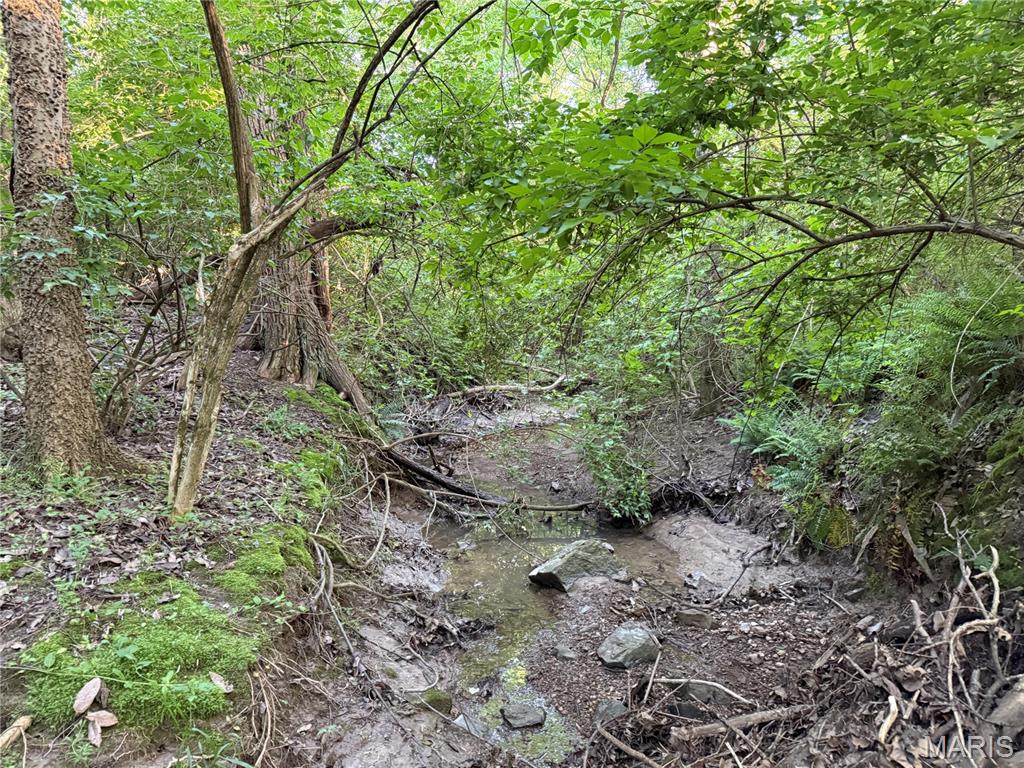 000 Sportsman Club Road Property Photo 8