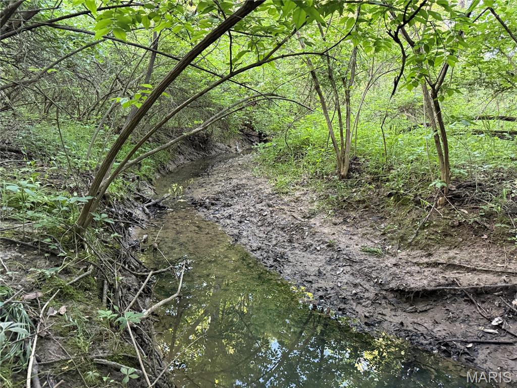 000 Sportsman Club Road Property Photo 9