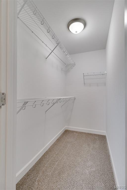 10403 Micah Lane Property Photo 23