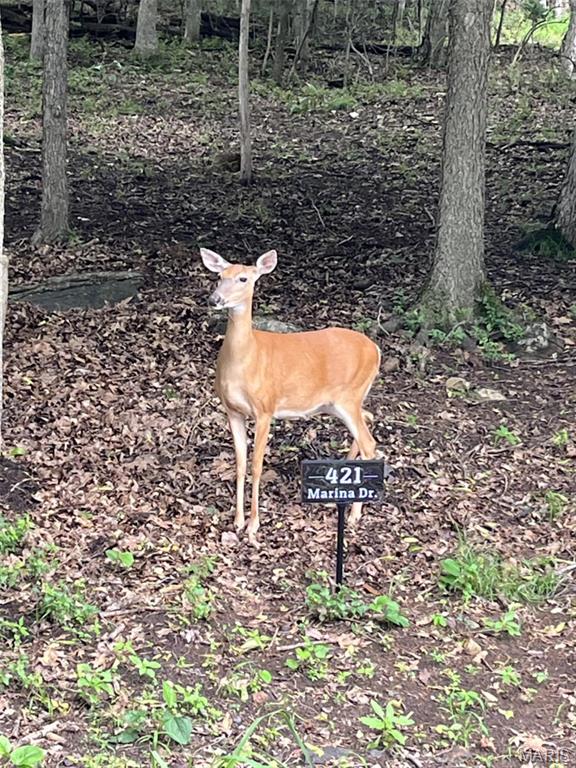 421 Marina Drive Property Photo 3