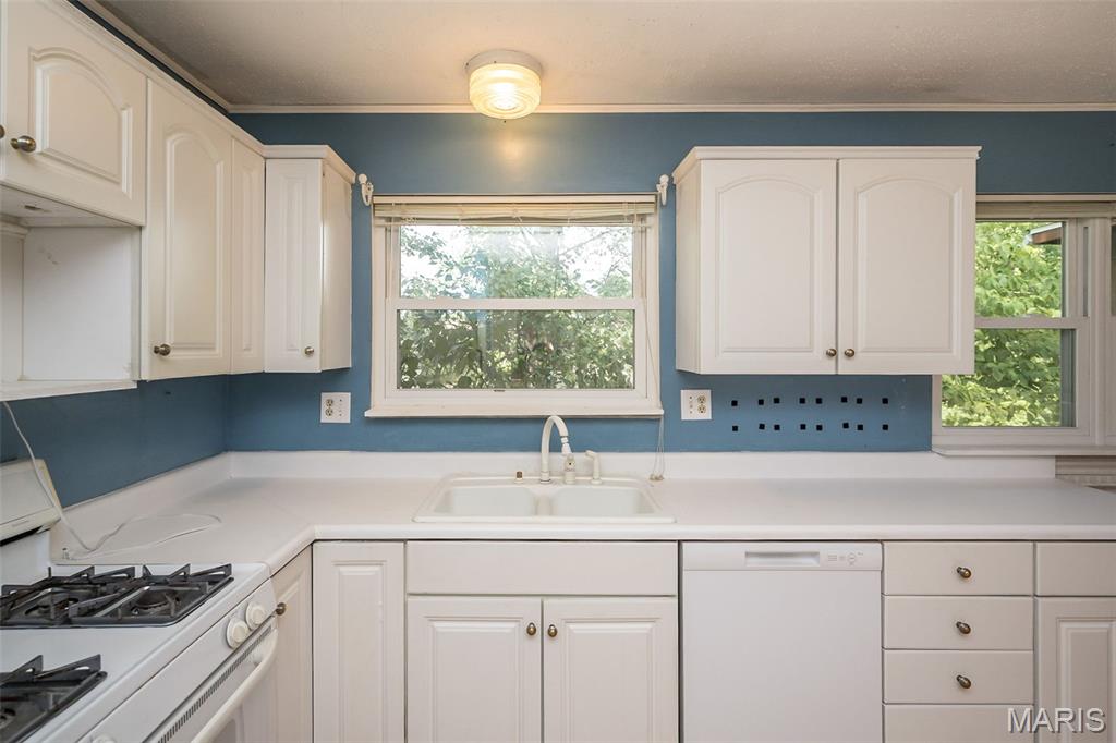 2503 Dimus Drive Property Photo 5