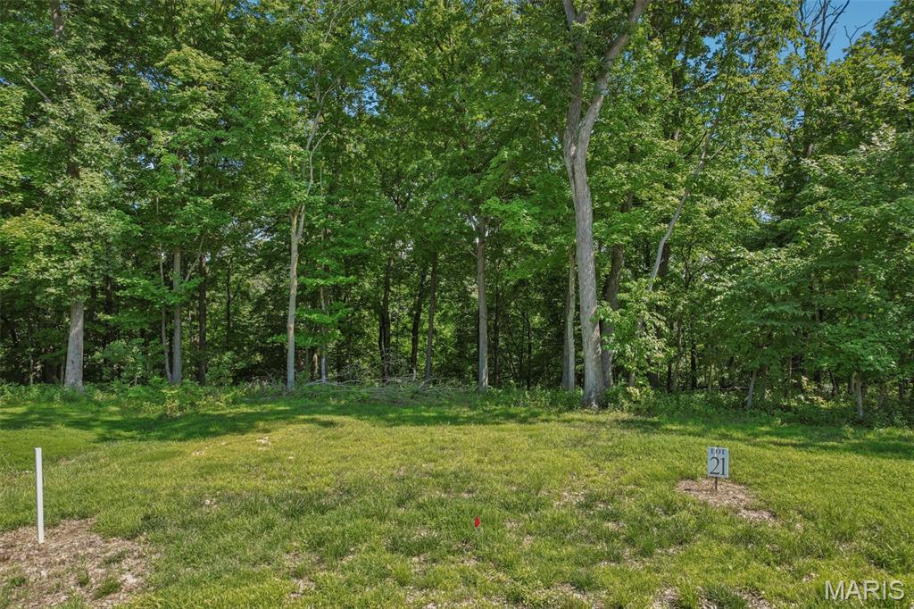 Tbd Forest Ridge Lane Property Photo 4