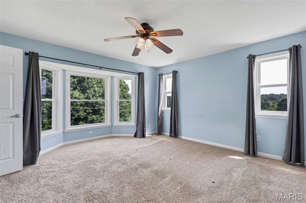 17395 Hickory Lick Valley Road Property Photo 26