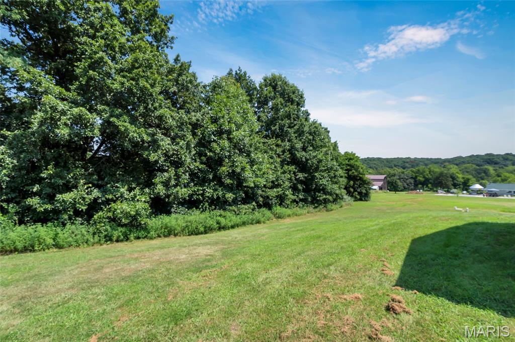17395 Hickory Lick Valley Road Property Photo 48