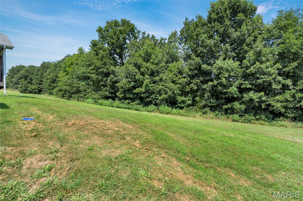 17395 Hickory Lick Valley Road Property Photo 53