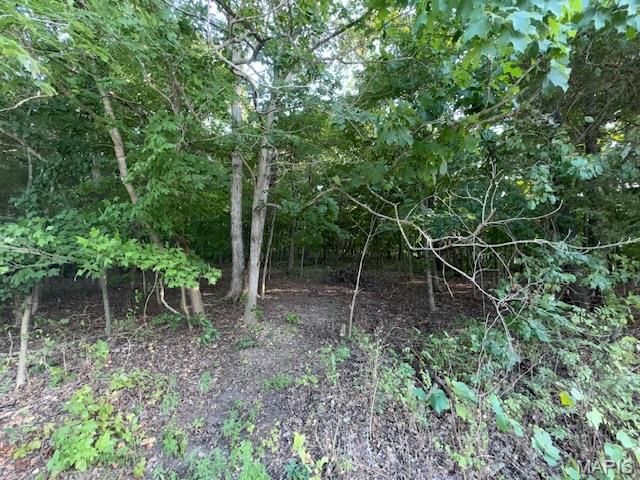 0000 E Vista Dr Property Photo 6