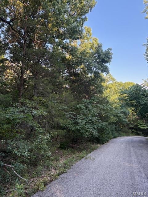5752 Treebrook Drive Property Photo 4
