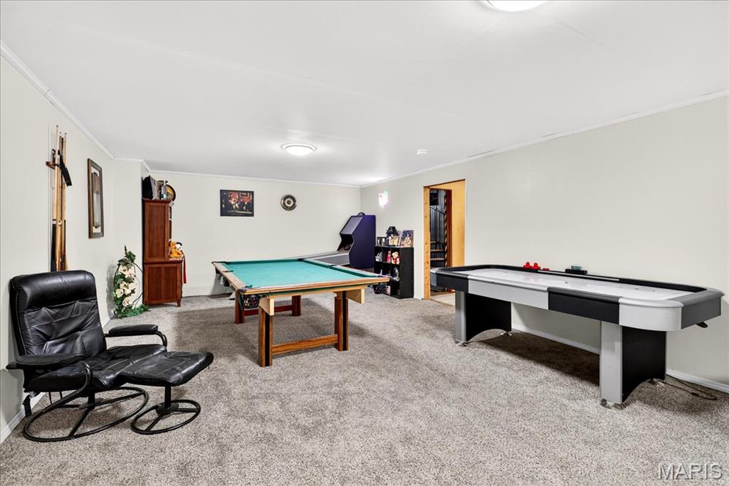 4102 Old Alton Road Property Photo 41