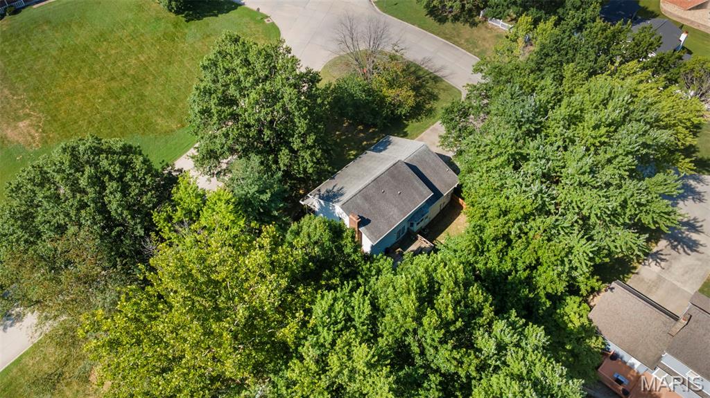 3814 Carolewood Drive Property Photo 41