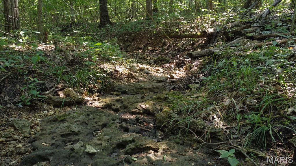 10021 Bugle Rd Property Photo 2