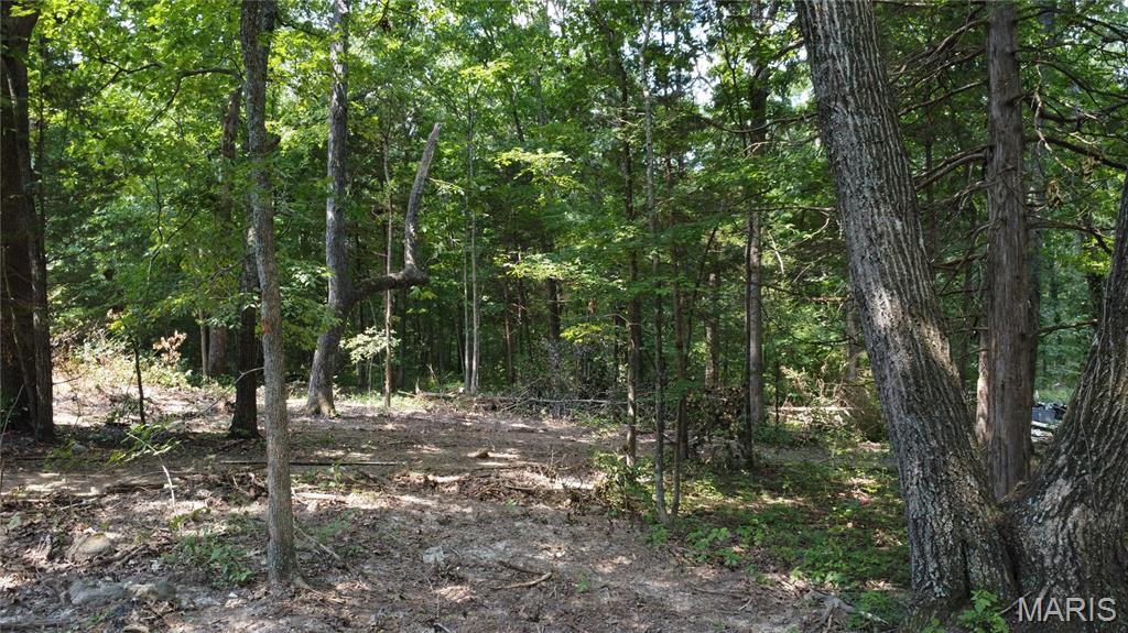 10021 Bugle Rd Property Photo 23