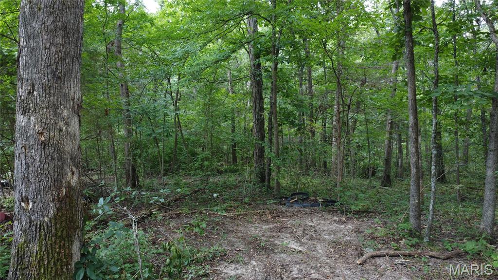 10021 Bugle Rd Property Photo 25