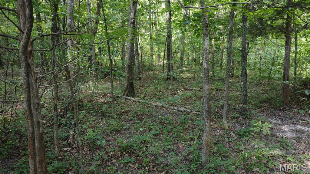 10021 Bugle Rd Property Photo 26