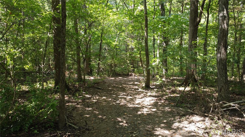 10021 Bugle Rd Property Photo 28
