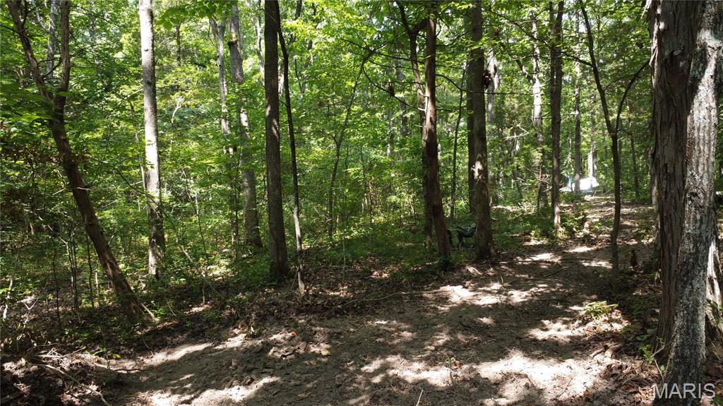 10021 Bugle Rd Property Photo 29