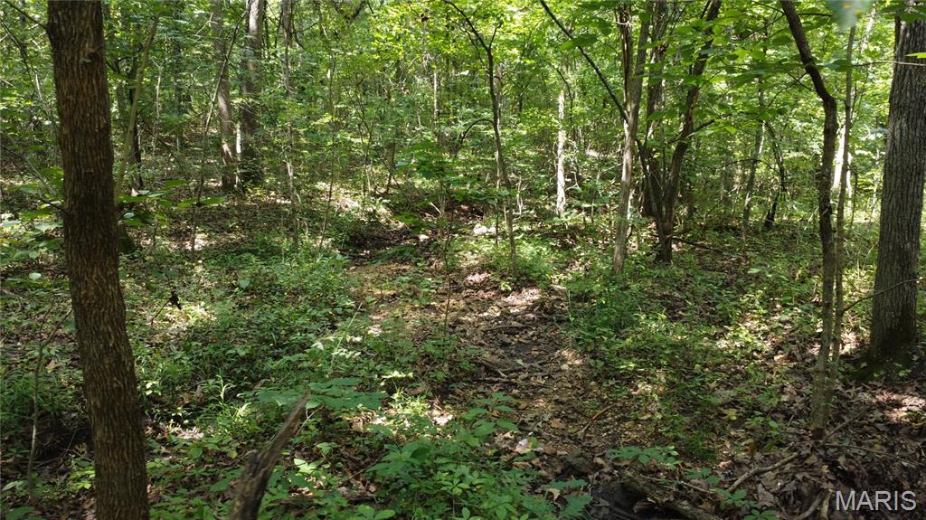 10021 Bugle Rd Property Photo 31
