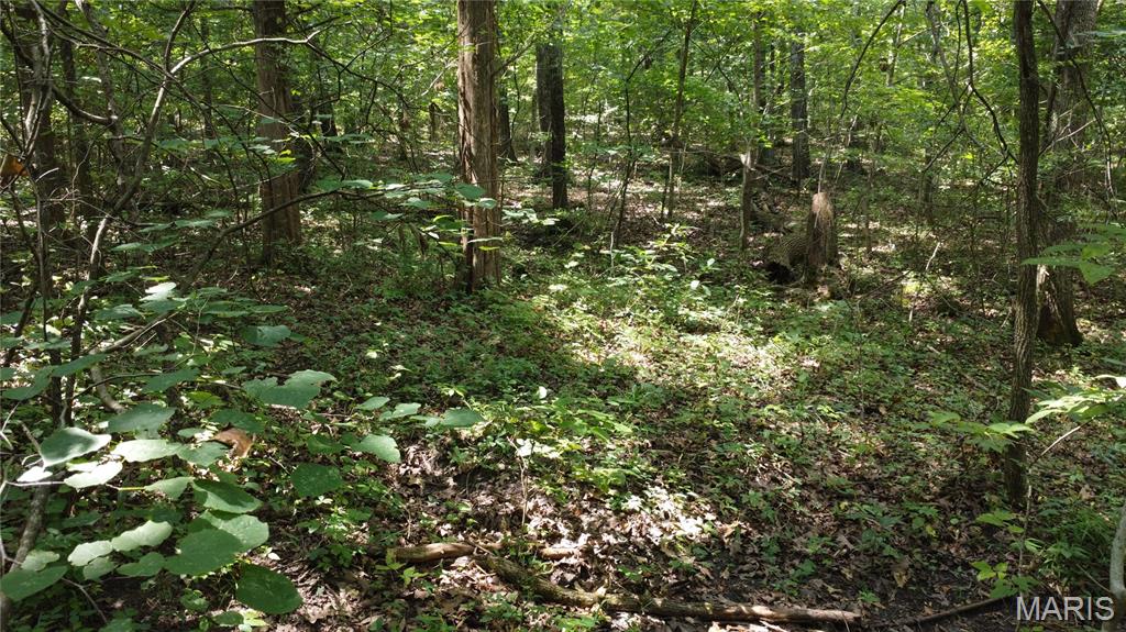 10021 Bugle Rd Property Photo 32