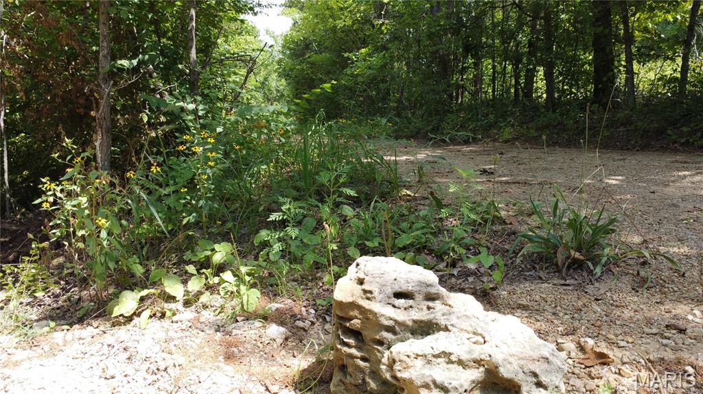 10021 Bugle Rd Property Photo 38