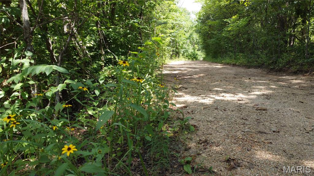 10021 Bugle Rd Property Photo 39