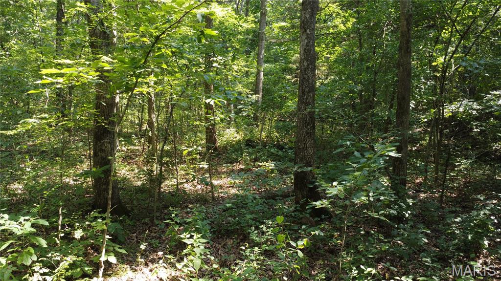10021 Bugle Rd Property Photo 41