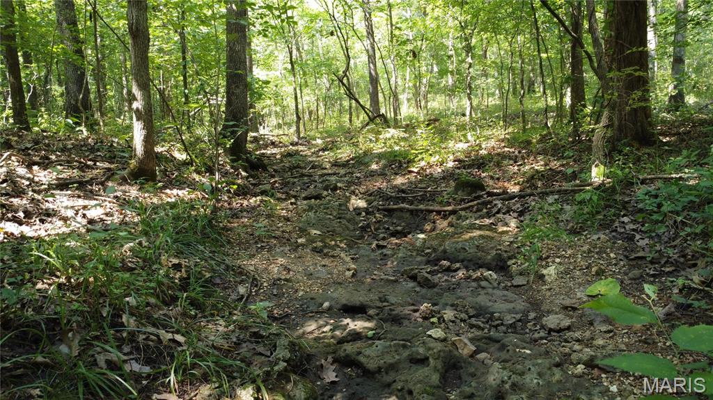 10021 Bugle Rd Property Photo 42