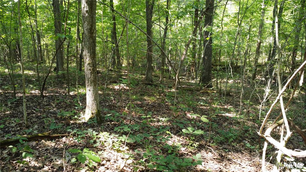 10021 Bugle Rd Property Photo 43