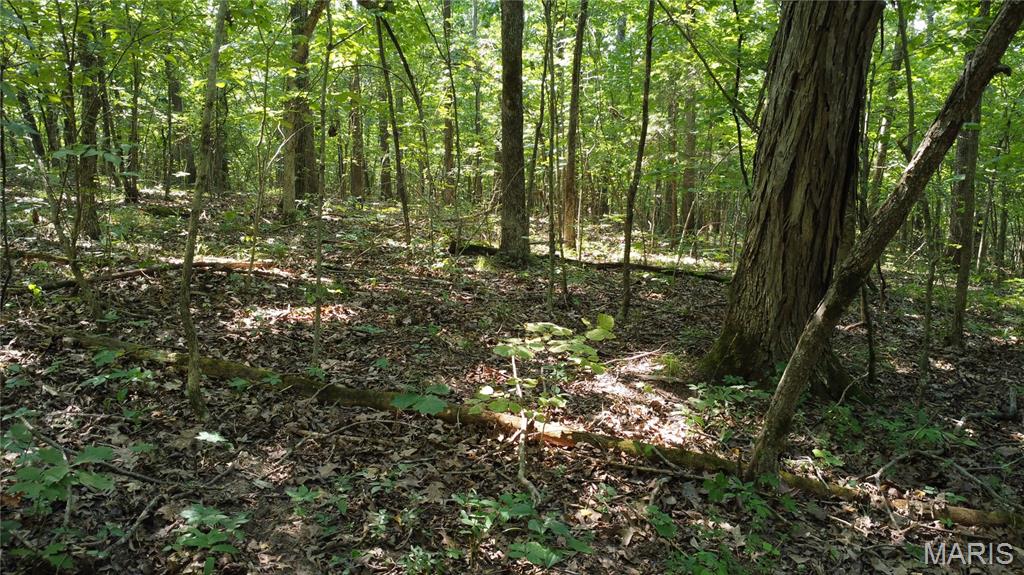 10021 Bugle Rd Property Photo 44