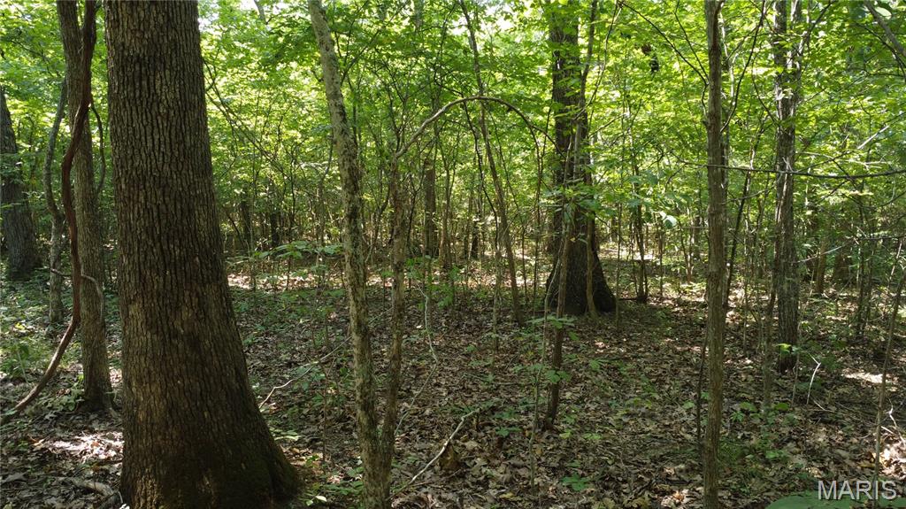 10021 Bugle Rd Property Photo 45
