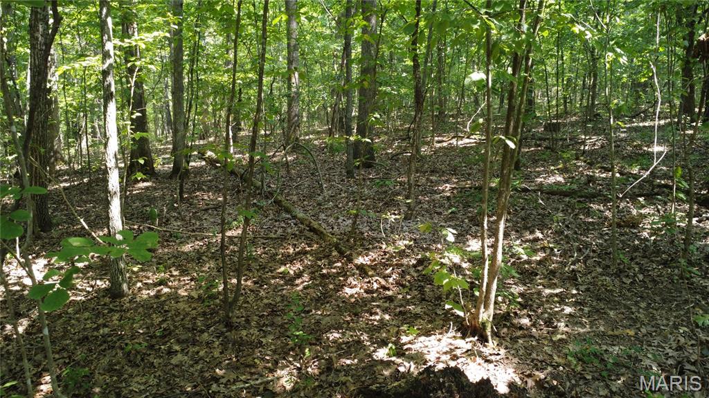 10021 Bugle Rd Property Photo 46