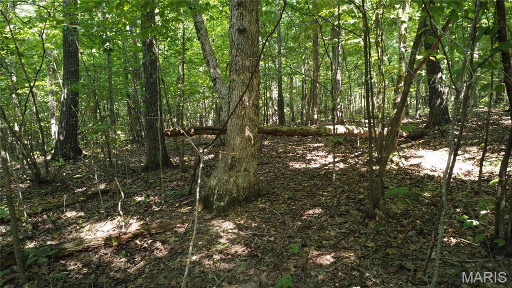 10021 Bugle Rd Property Photo 47
