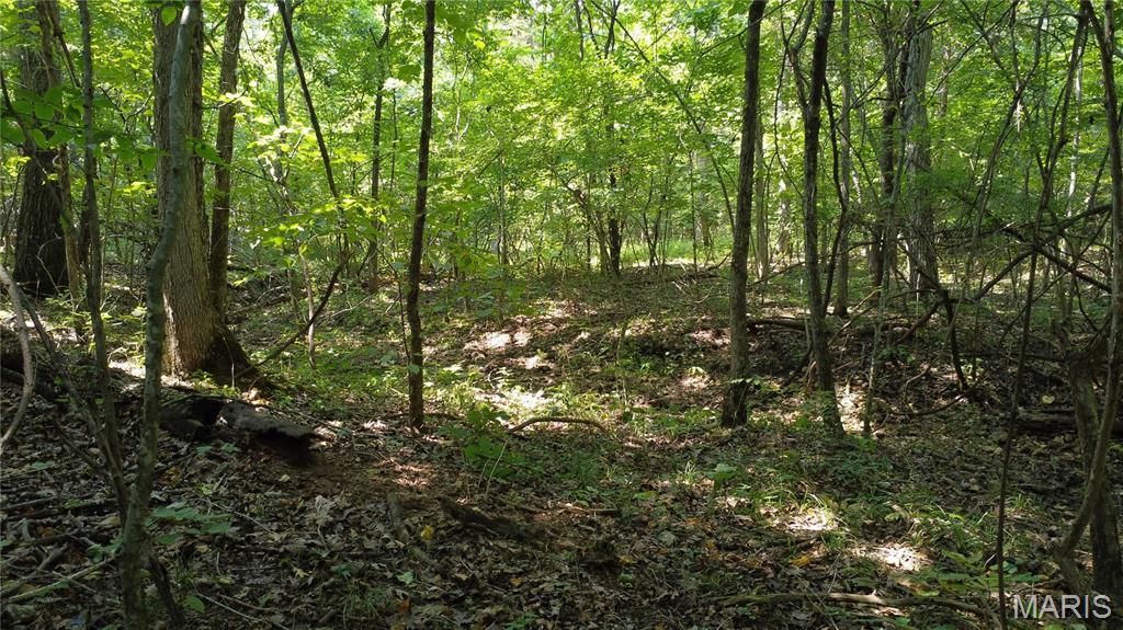 10021 Bugle Rd Property Photo 48