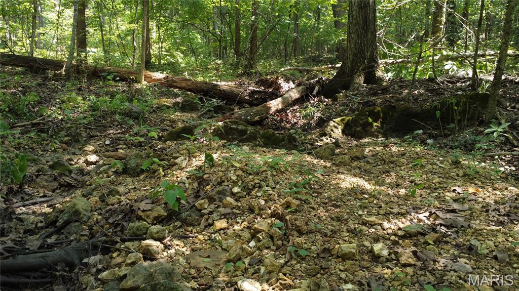 10021 Bugle Rd Property Photo 49