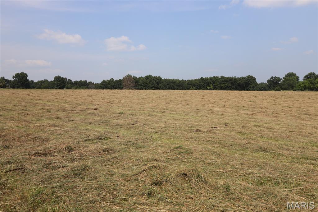 0 Tract #1-6 Ac +/- State Rd M Property Photo 1