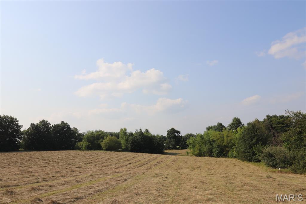 0 Tract #3-6+/- County Rd 263 Property Photo 1