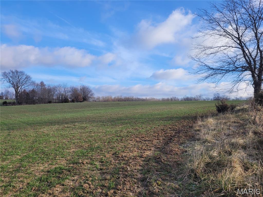0 Bales Rd. (26.5+/- Acres) Property Photo 1