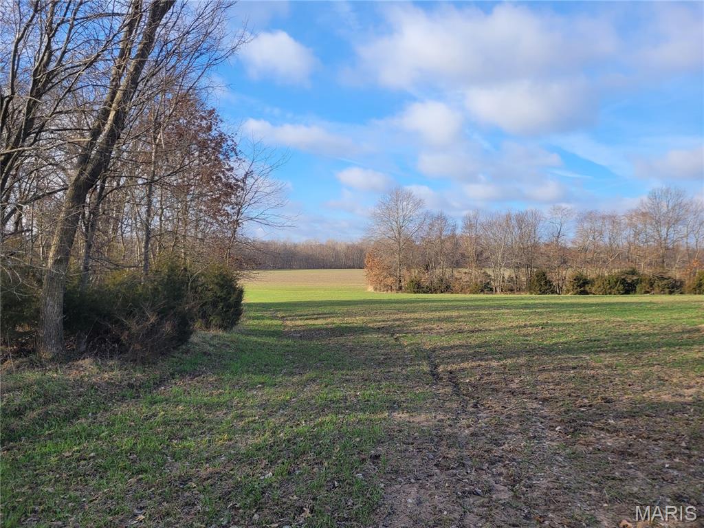 0 Bales Rd. (26.5+/- Acres) Property Photo 2
