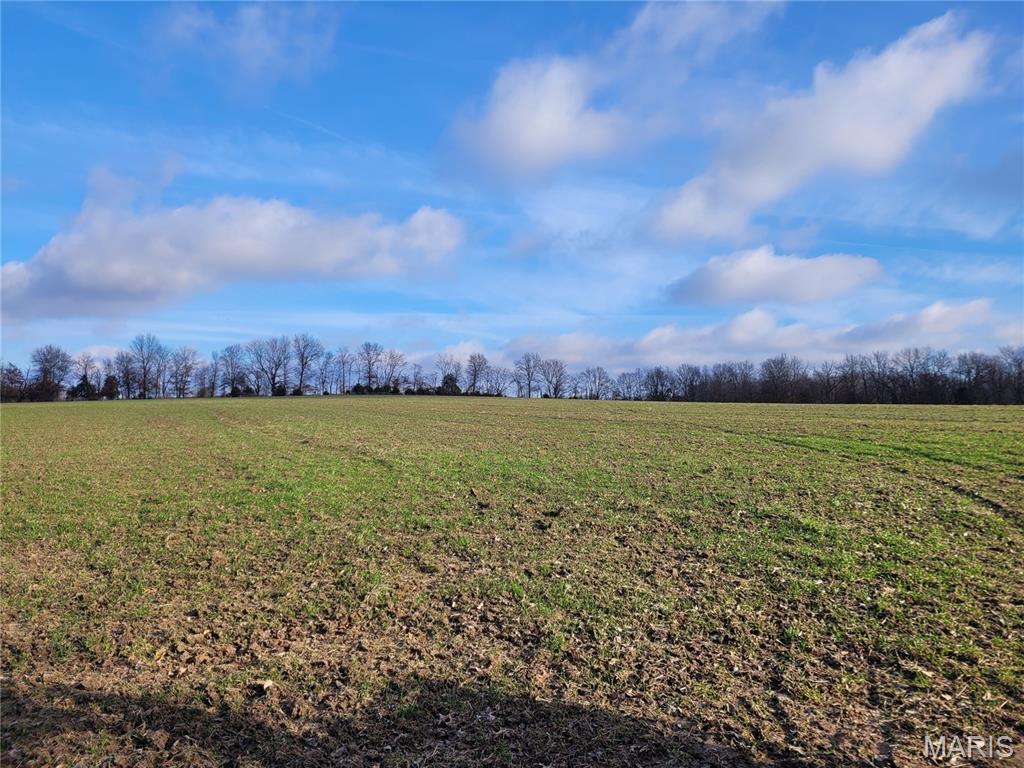 0 Bales Rd. (26.5+/- Acres) Property Photo 3