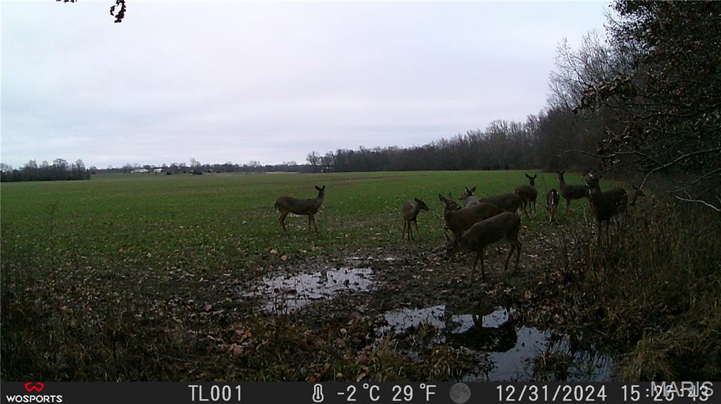 0 Bales Rd. (26.5+/- Acres) Property Photo 5