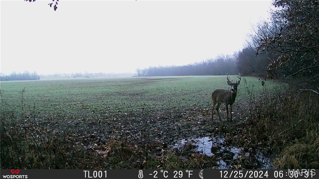 0 Bales Rd. (26.5+/- Acres) Property Photo 10