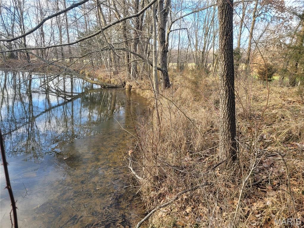 0 Bales Rd. (26.5+/- Acres) Property Photo 12