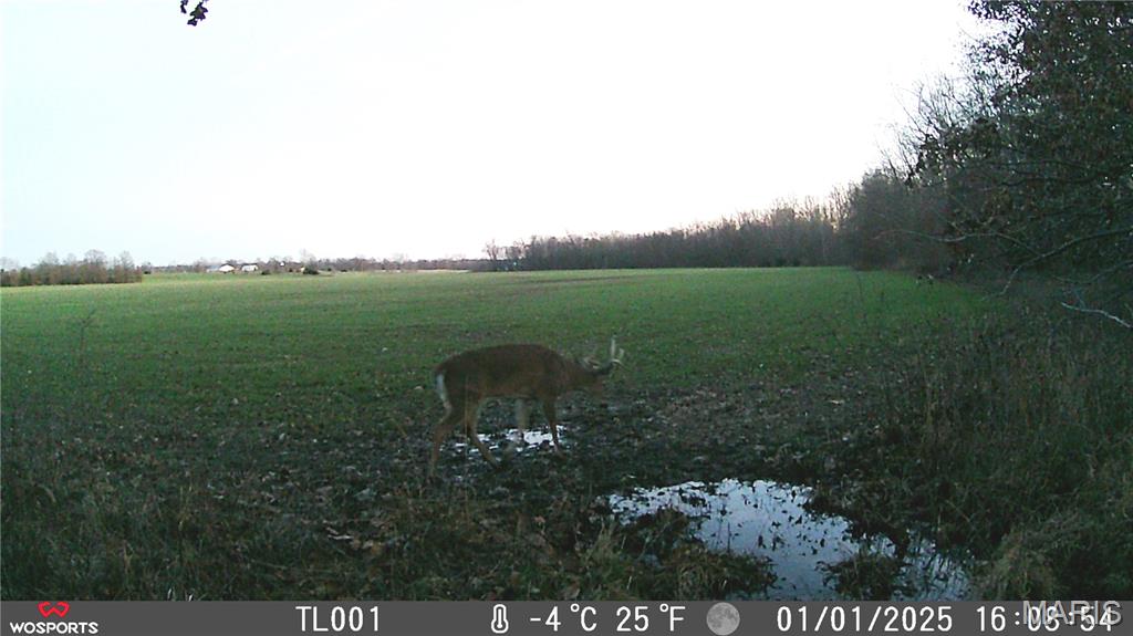 0 Bales Rd. (26.5+/- Acres) Property Photo 13