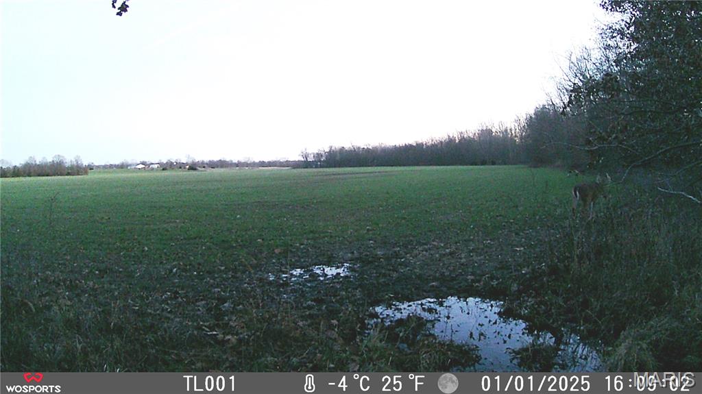 0 Bales Rd. (26.5+/- Acres) Property Photo 14