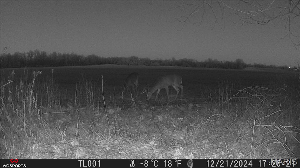 0 Bales Rd. (26.5+/- Acres) Property Photo 15