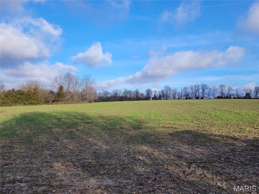 0 Bales Rd. (26.5+/- Acres) Property Photo 16