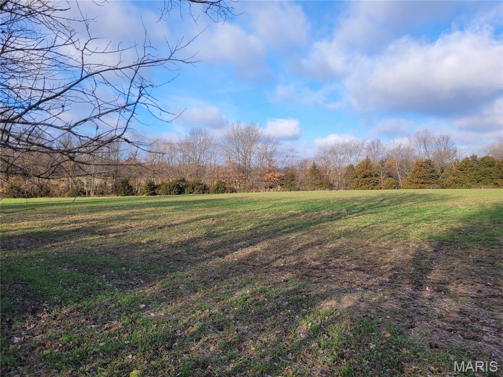 0 Bales Rd. (26.5+/- Acres) Property Photo 17