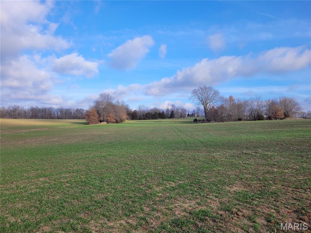 0 Bales Rd. (26.5+/- Acres) Property Photo 18