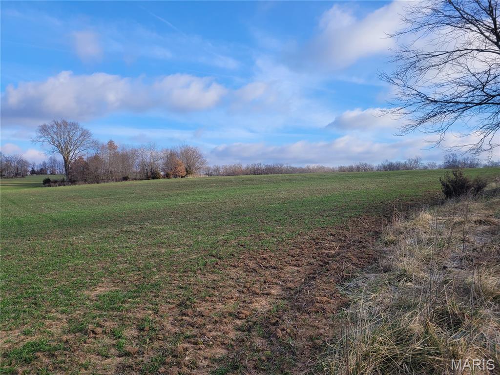 0 Bales Rd. (26.5+/- Acres) Property Photo 19