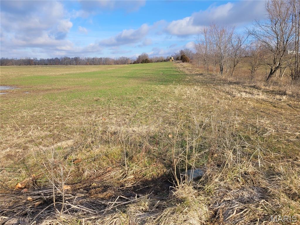 0 Bales Rd. (26.5+/- Acres) Property Photo 20