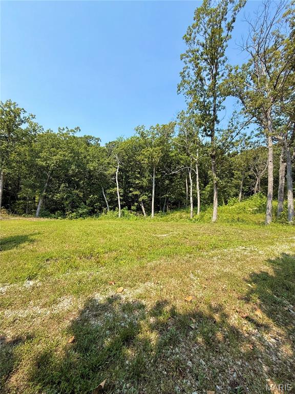 405 Mark Twain Loop Property Photo 4